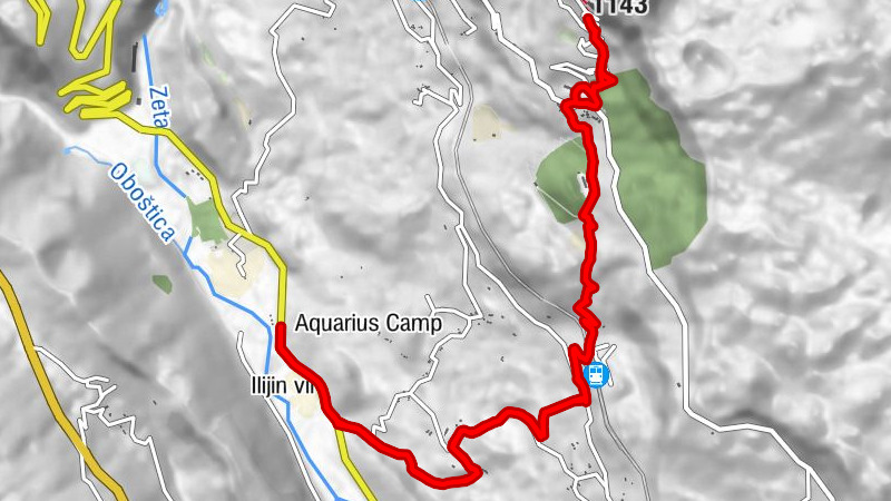 Carte
