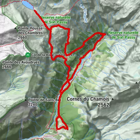 Carte