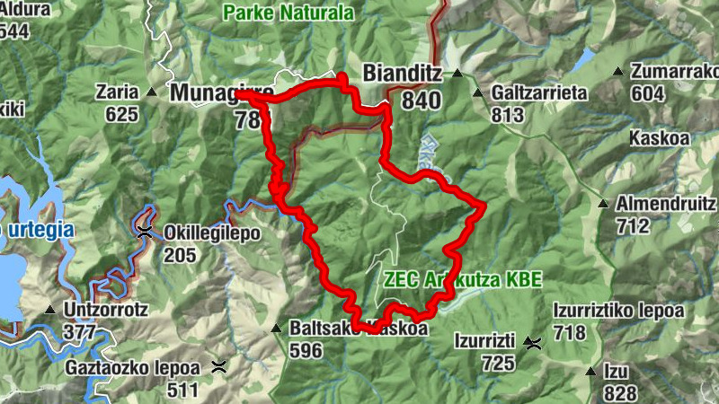 Carte