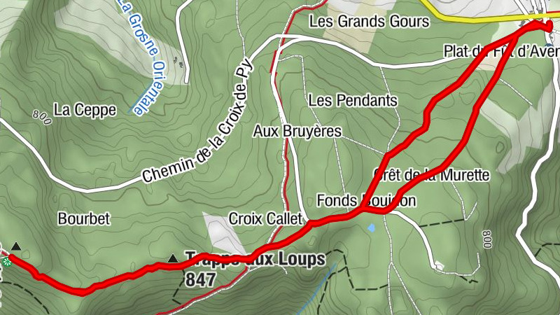 Carte