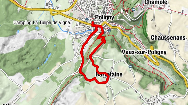 Carte