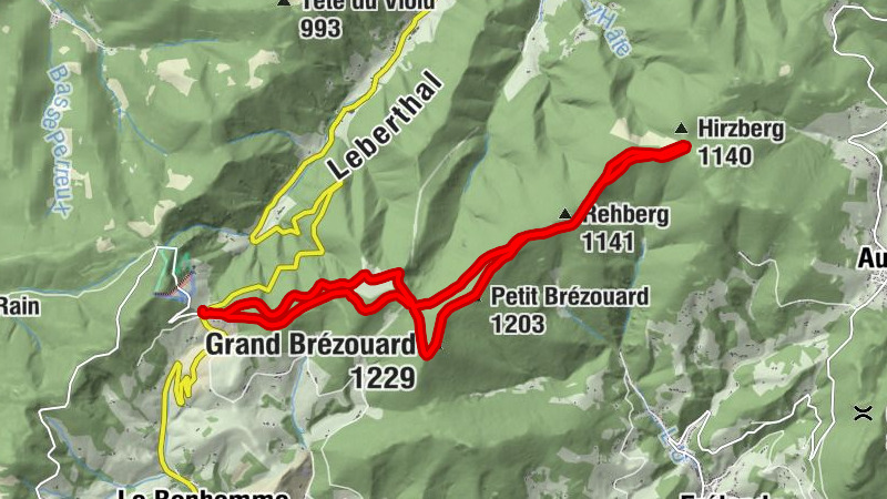 Carte