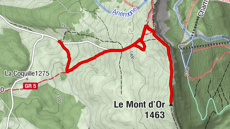 Carte