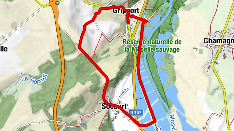 Carte