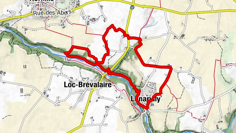 Carte