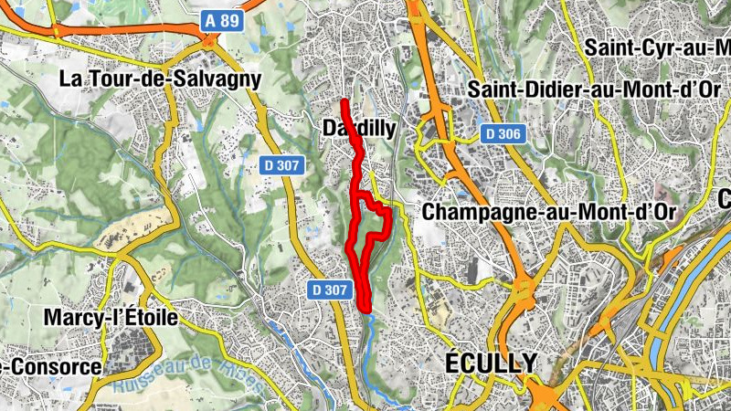 Carte