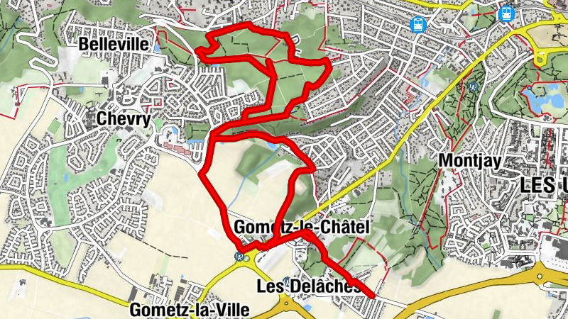 Carte