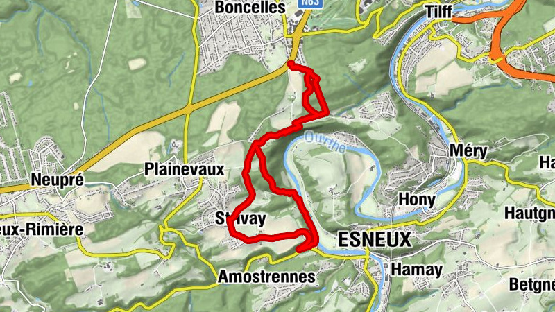 Carte