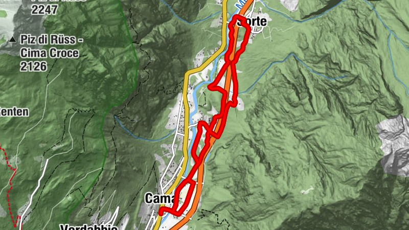 Carte