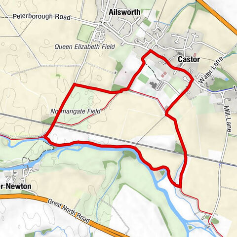 Castor - Ailsworth - The Chubby Castor