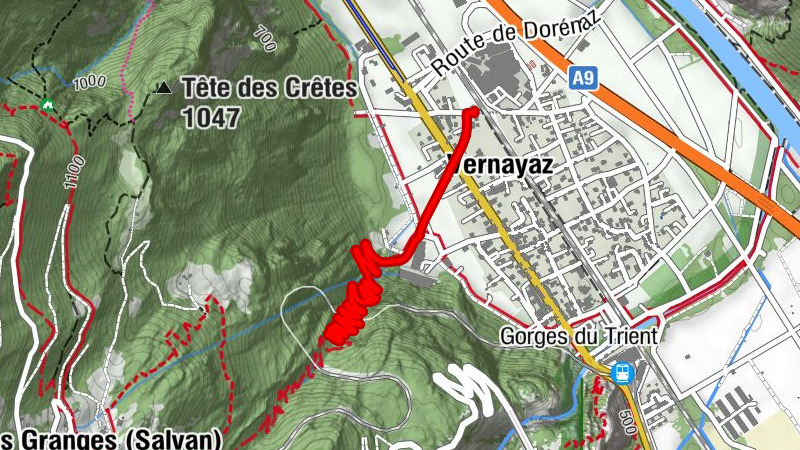 Carte