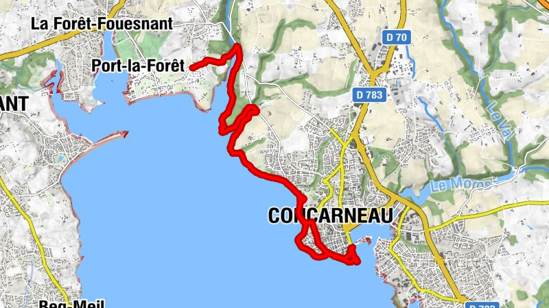 Carte
