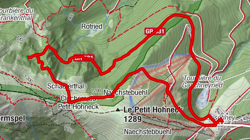 Carte