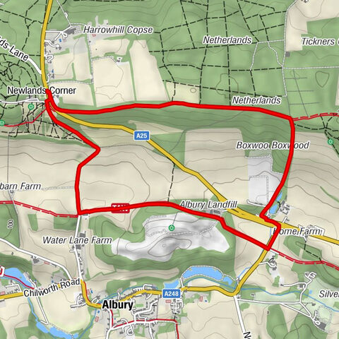 The Plucky Pheasant - Newlands Corner - Guildford