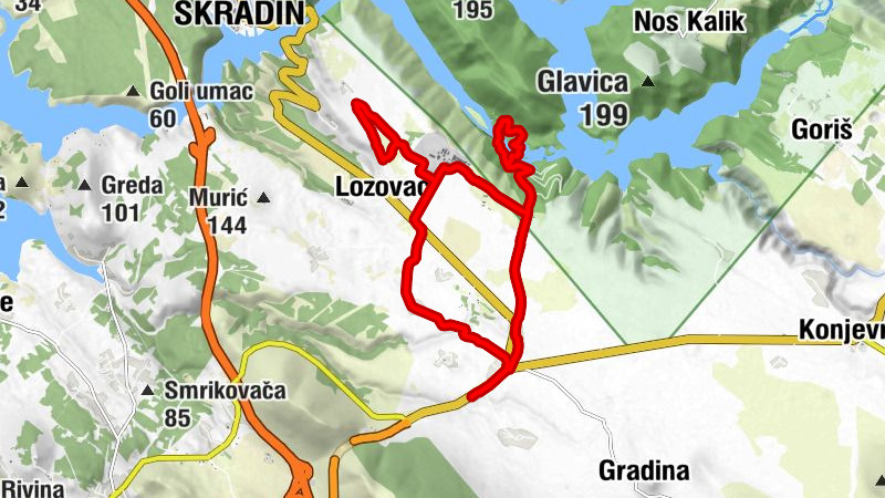 Carte