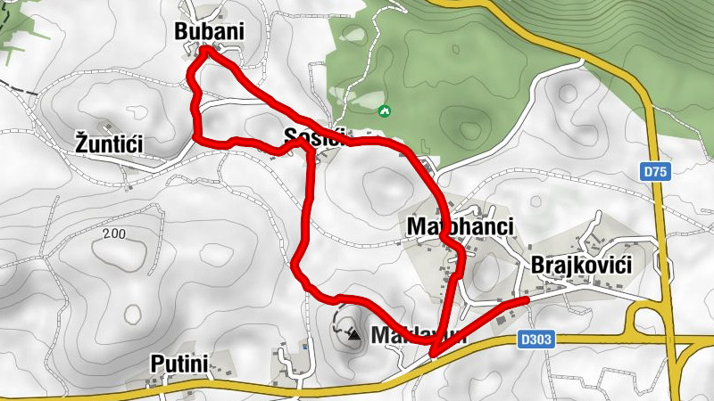 Carte