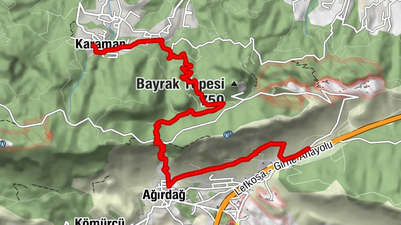 Carte