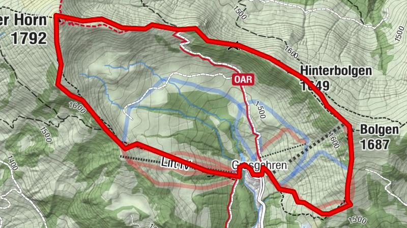 Carte