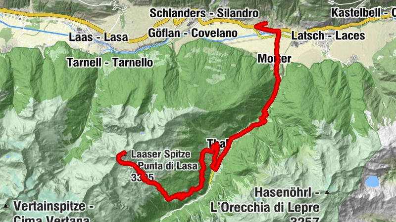 Carte