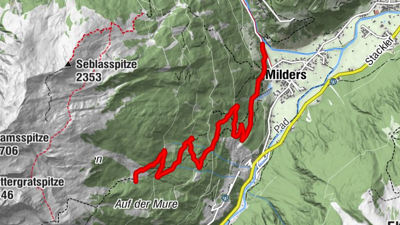 Carte