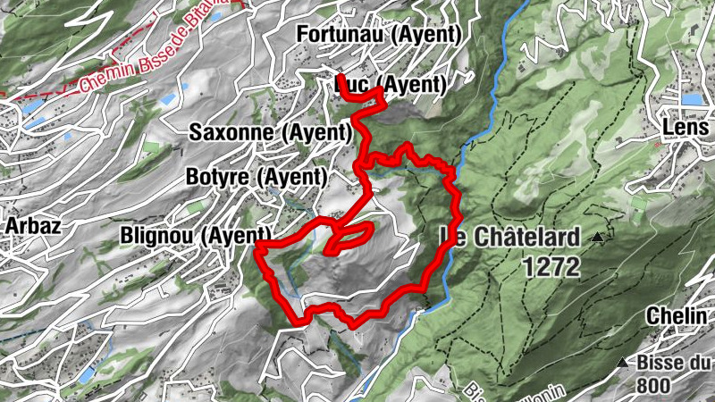 Carte