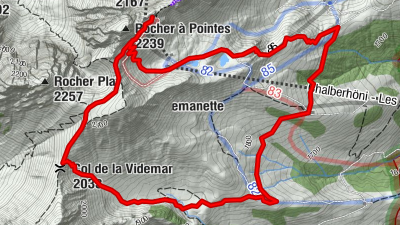 Carte