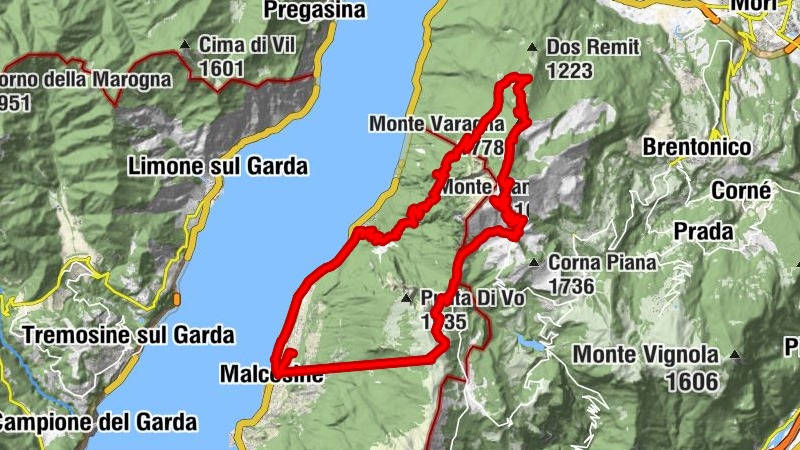 Carte