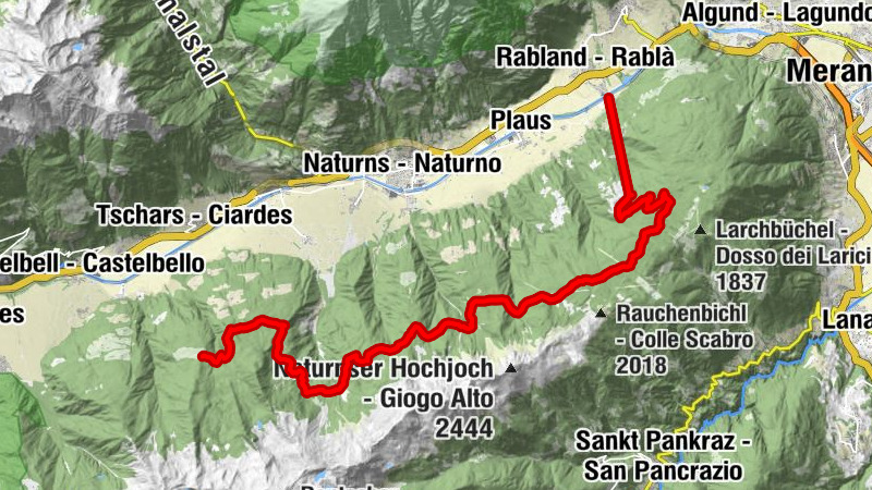 Carte