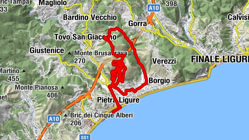 Carte