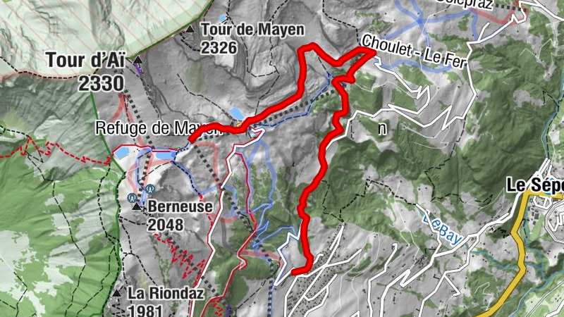 Carte