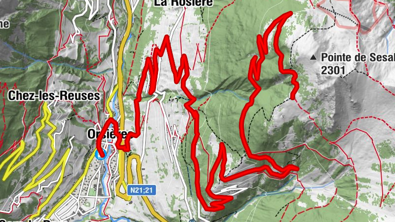 Carte