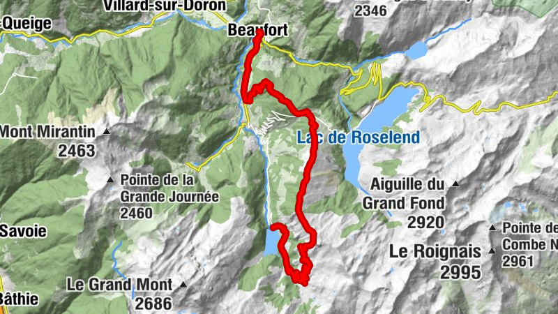 Carte