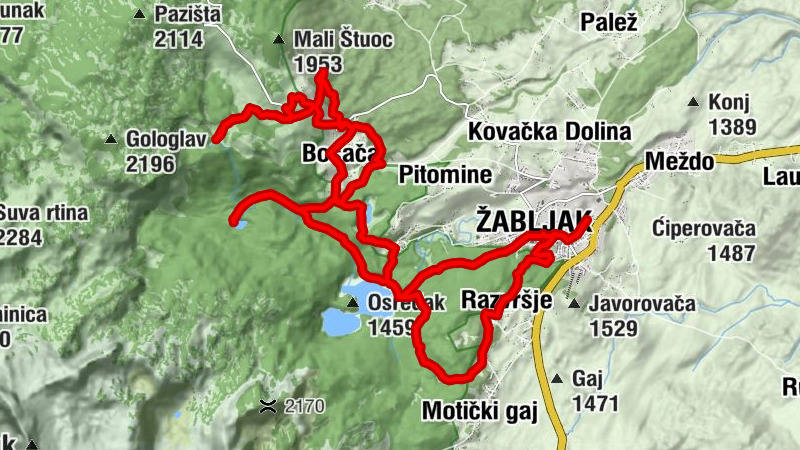 Carte
