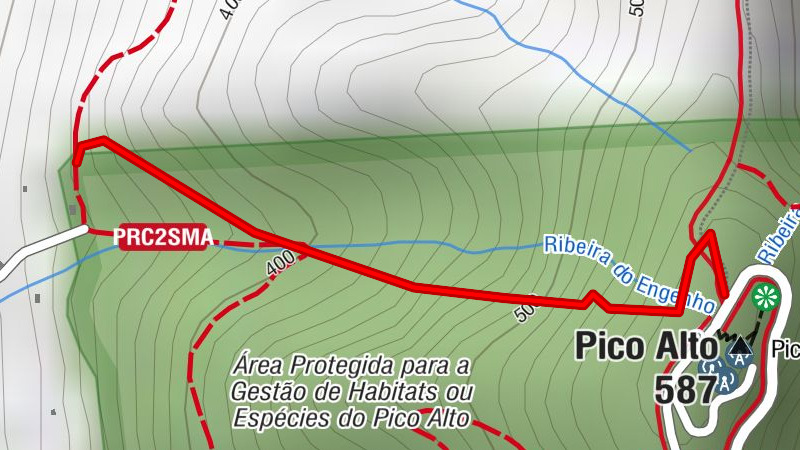 Pico Alto