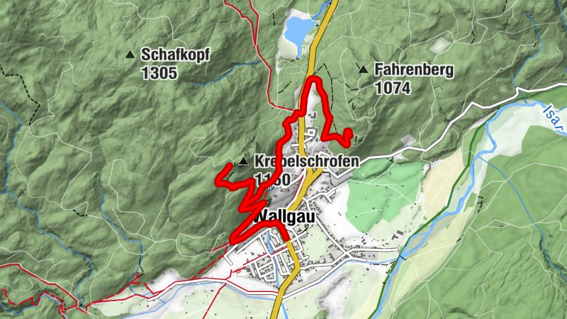 Carte