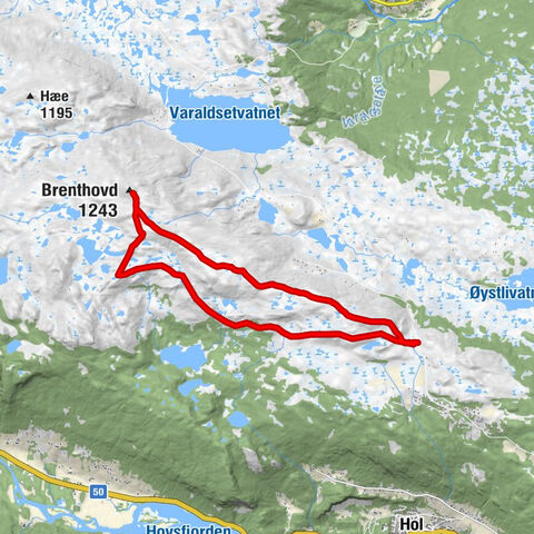 Hol - Nysetfjellet - Brenthovd