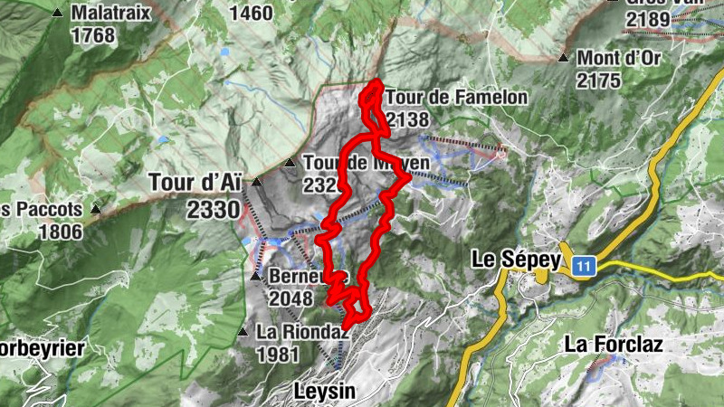 Carte