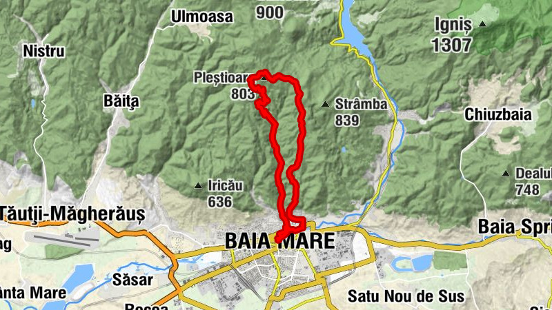 Carte