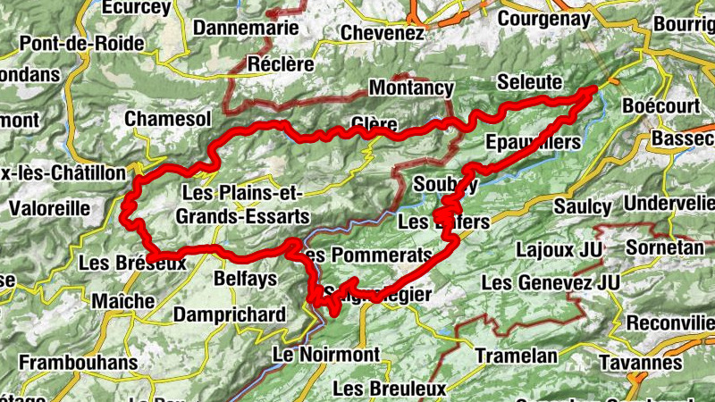 Carte