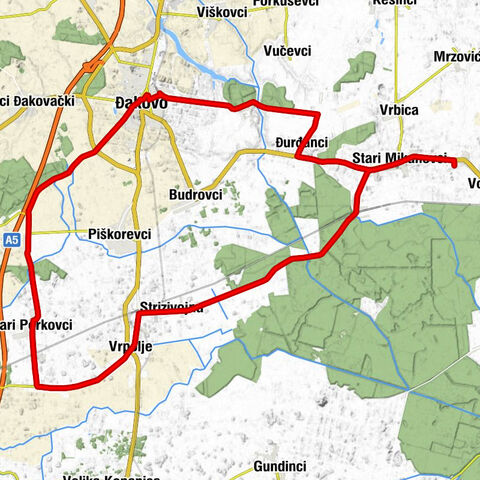 Đakovo - crkva svete Klare djevice - crkva svetog Martina biskupa