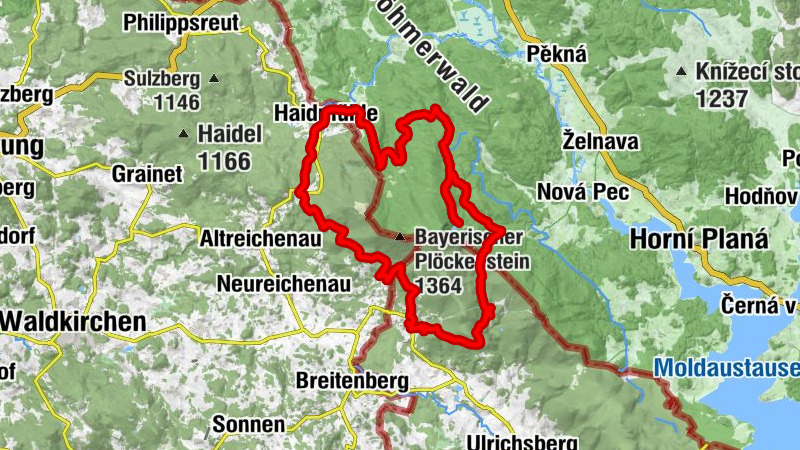 Carte