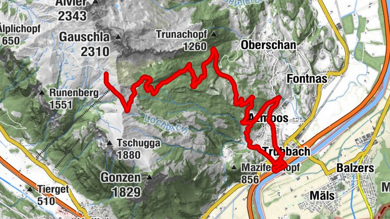 Carte