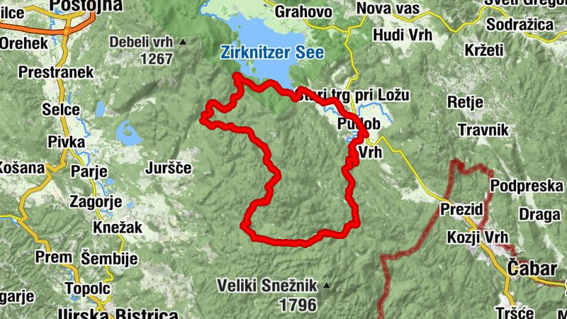 Carte