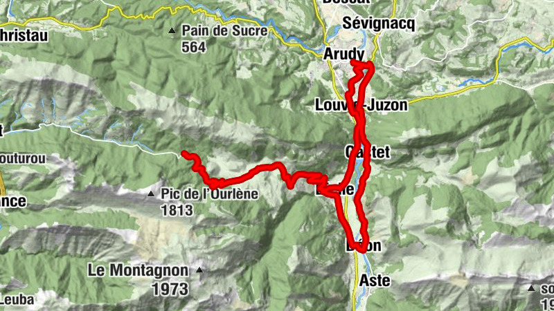 Carte