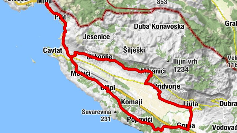 Carte
