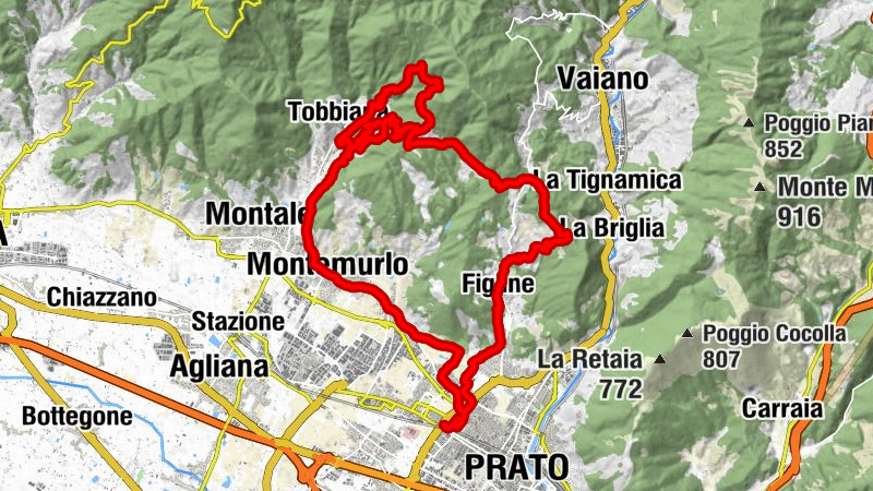 Carte