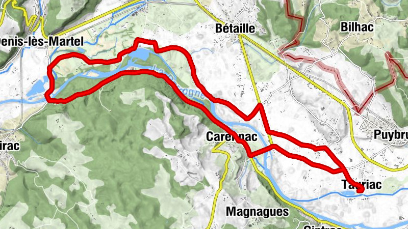 Carte