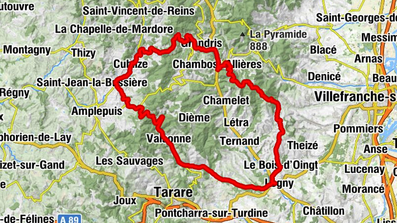 Carte