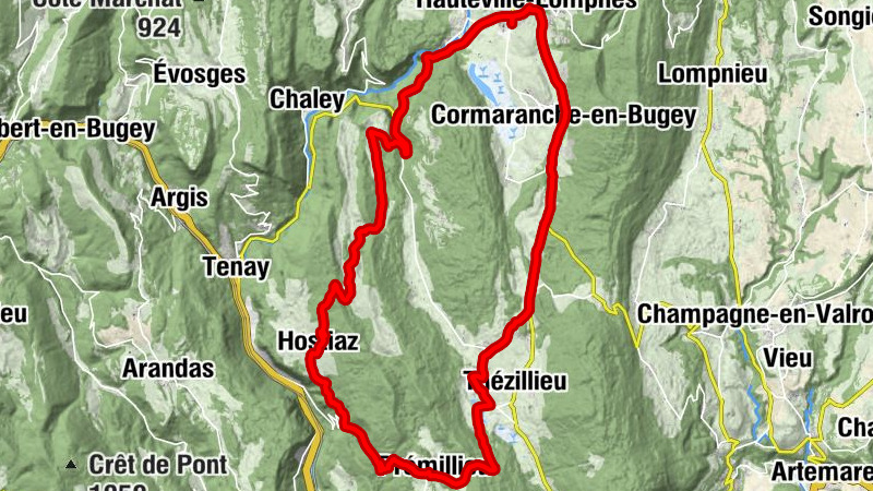 Carte
