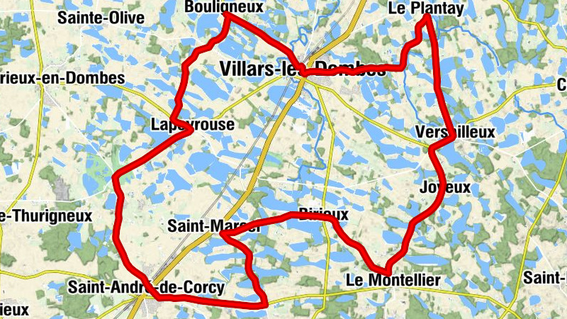 Carte